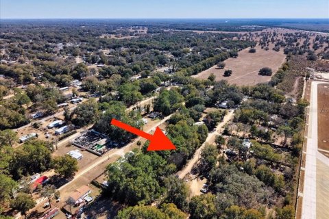 Land in Ocala, Florida № 2163479 - photo 20
