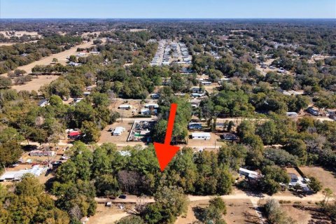 Land in Ocala, Florida № 2163479