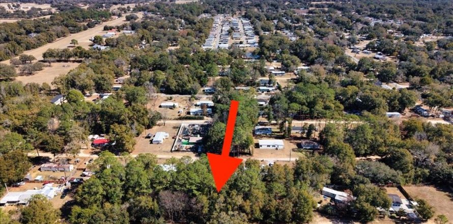 Land in Ocala, Florida № 2163479
