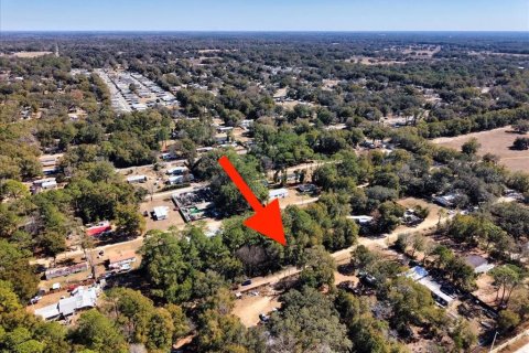 Land in Ocala, Florida № 2163479 - photo 21