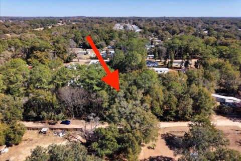 Land in Ocala, Florida № 2163479 - photo 27