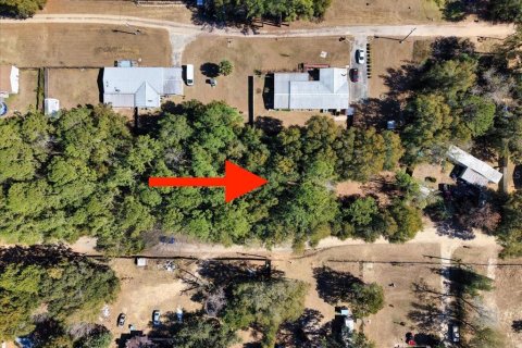 Land in Ocala, Florida № 2163479 - photo 10