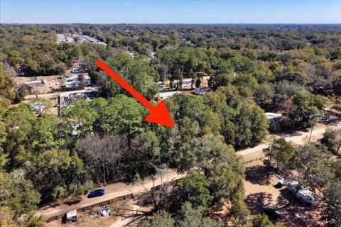 Land in Ocala, Florida № 2163479 - photo 26