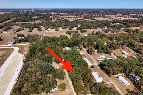 Land in Ocala, Florida № 2163479 - photo 19