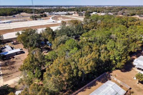 Land in Ocala, Florida № 2163479 - photo 23