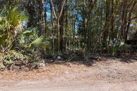 Land in Ocala, Florida № 2163479 - photo 4