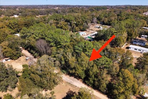 Land in Ocala, Florida № 2163479 - photo 22