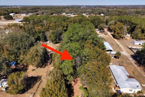 Land in Ocala, Florida № 2163479 - photo 13