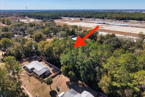 Land in Ocala, Florida № 2163479 - photo 24