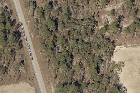 Terrain à Dunnellon, Floride № 2164815