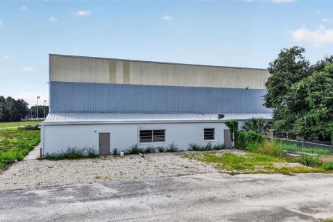 Immobilier commercial à vendre à Fruitland Park, Floride № 2415166 - photo 4