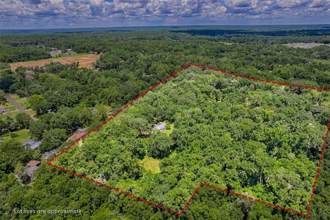 Casa en venta en Gainesville, Florida, 3 dormitorios, 105.63 m2 № 1828647 - foto 22