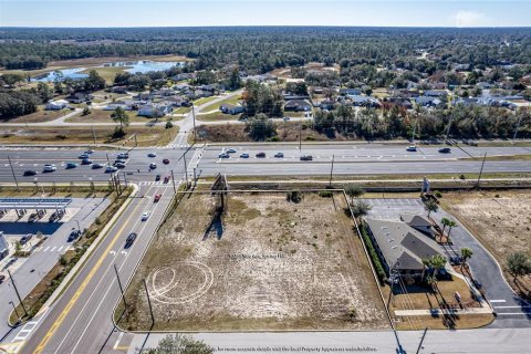Land in Weeki Wachee, Florida № 260684 - photo 3
