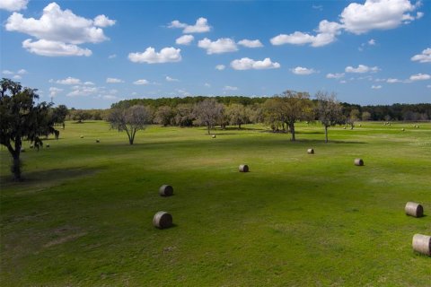Terreno en Ocala, Florida № 2232844