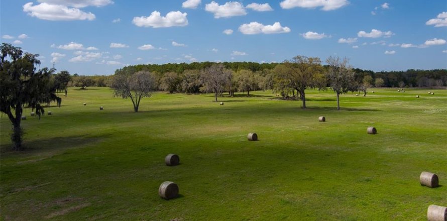 Terrain à Ocala, Floride № 2232844