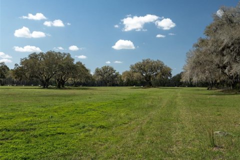 Terrain à vendre à Ocala, Floride № 2232844 - photo 6