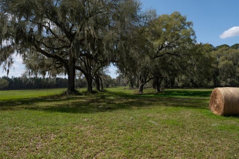 Terrain à vendre à Ocala, Floride № 2232844 - photo 8
