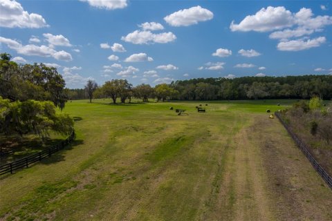 Terrain à vendre à Ocala, Floride № 2232844 - photo 7