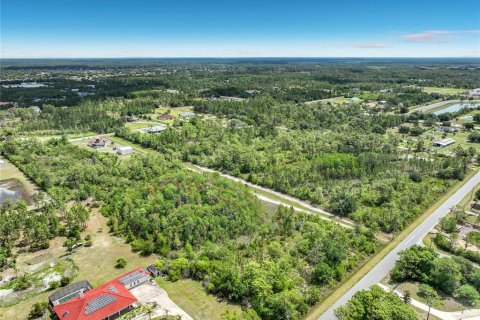 Terreno en venta en Orlando, Florida № 2098065 - foto 3