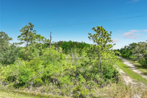 Terreno en venta en Orlando, Florida № 2098065 - foto 6