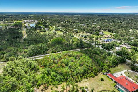Terreno en venta en Orlando, Florida № 2098065 - foto 10