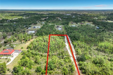 Terreno en Orlando, Florida № 2098065