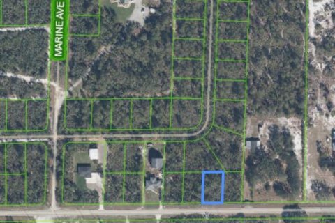Land in Sebring, Florida № 2164736 - photo 8