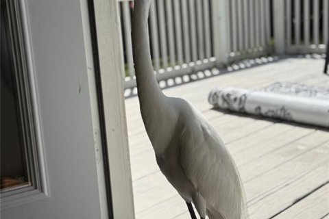 Casa en venta en Dunedin, Florida, 3 dormitorios, 106.28 m2 № 2384458 - foto 25