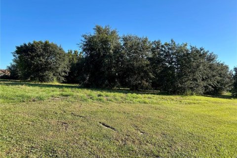 Terrain à vendre à Wauchula, Floride № 2130629 - photo 24