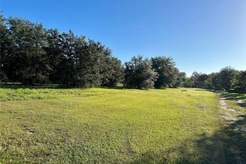 Terrain à vendre à Wauchula, Floride № 2130629 - photo 25