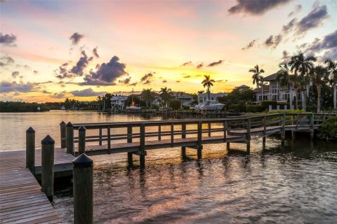 Land in Sarasota, Florida № 2429588 - photo 29
