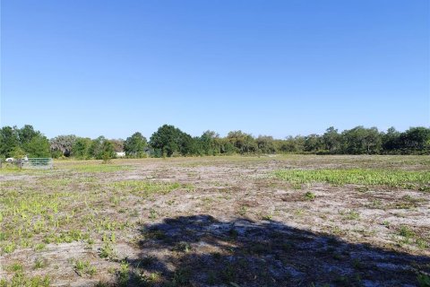 Terreno en venta en Lake Wales, Florida № 2199630 - foto 6