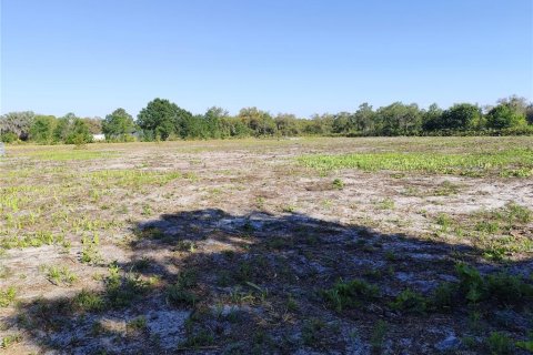 Terreno en venta en Lake Wales, Florida № 2199630 - foto 5