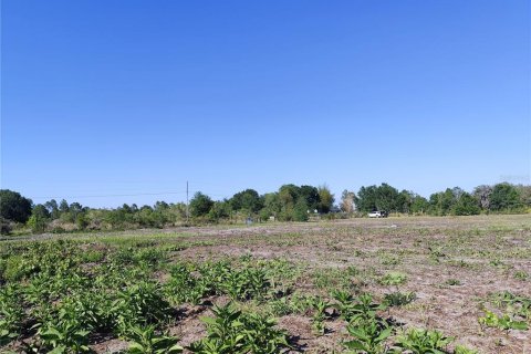 Terreno en venta en Lake Wales, Florida № 2199630 - foto 13