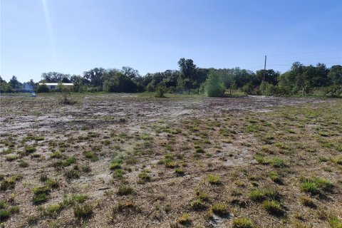 Terreno en venta en Lake Wales, Florida № 2199630 - foto 12