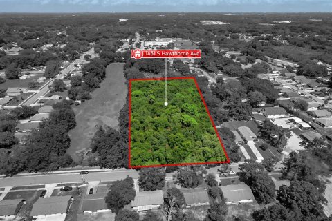 Terreno en venta en Apopka, Florida № 669772 - foto 1