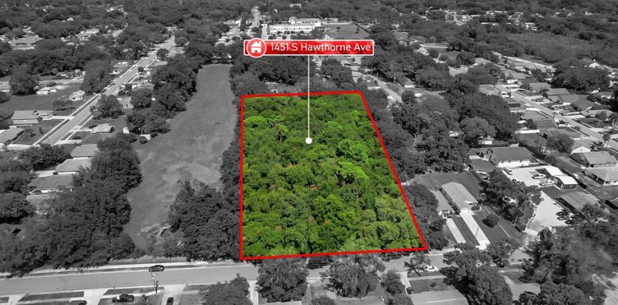 Terreno en Apopka, Florida № 669772