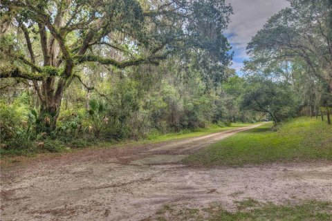 Land in Dunnellon, Florida № 1903439 - photo 7