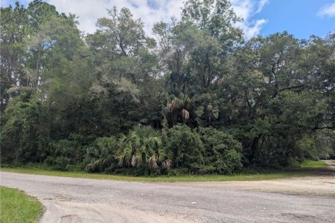 Land in Dunnellon, Florida № 1903439 - photo 3