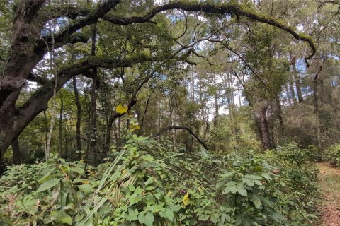 Land in Dunnellon, Florida № 1903439 - photo 4