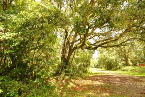 Land in Dunnellon, Florida № 1903439 - photo 2