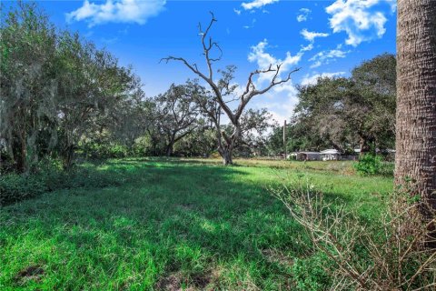 Terreno en venta en Davenport, Florida № 1545558 - foto 9