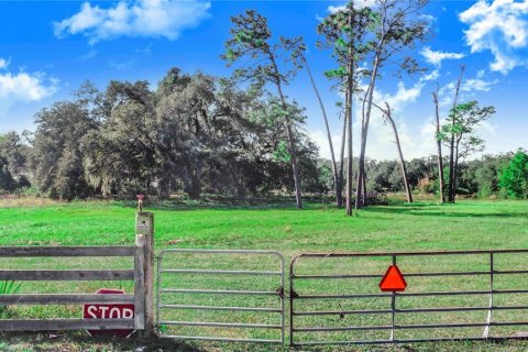 Land in Davenport, Florida № 1545558 - photo 10