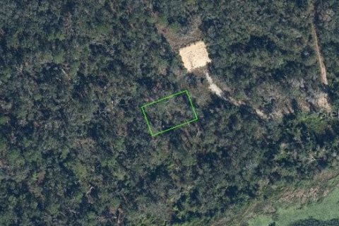 Terrain à Sebring, Floride № 2166520