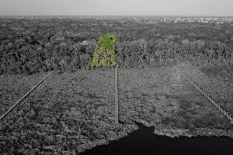 Land in Flagler Beach, Florida № 1818947 - photo 2