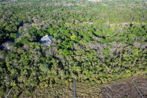 Land in Flagler Beach, Florida № 1818947 - photo 3
