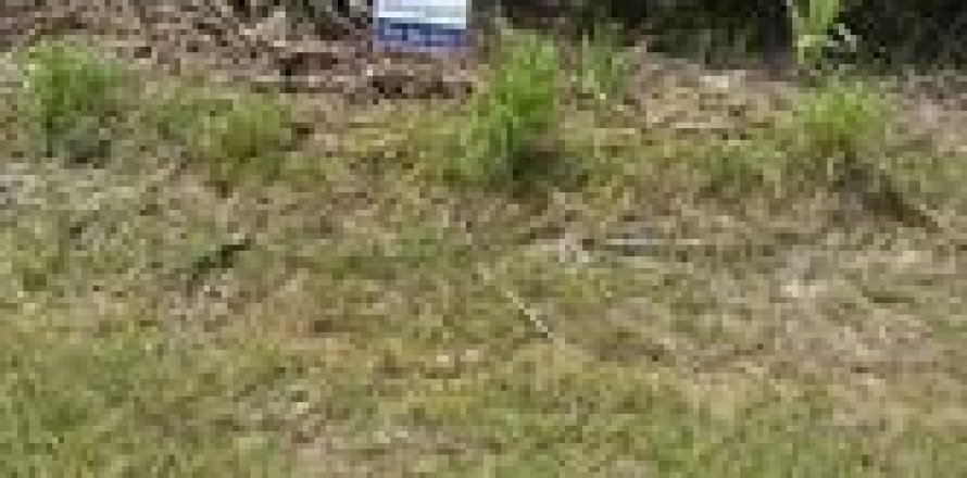 Terreno en Naples, Florida № 1049826