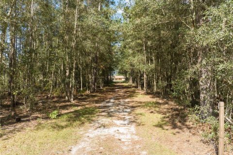 Villa ou maison à vendre à Lake City, Floride: 4 chambres, 314.57 m2 № 1275952 - photo 19