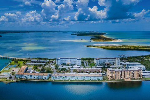 Copropriété à vendre à Dunedin, Floride: 1 chambre, 88.07 m2 № 1725309 - photo 3