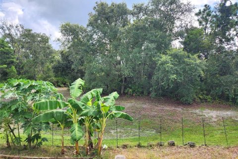Casa en venta en Spring Hill, Florida, 4 dormitorios, 213.02 m2 № 2344698 - foto 25